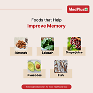 Foods that Help Improve Memory