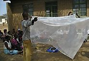 Why it is better to buy a pre-treated insecticidal nets?