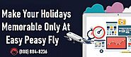Make Your Travel Easy & Secure with Easy Peasy Fly