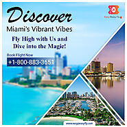 Discover Miami's Vibrant Vibes Fly High with Us and Dive into the Magic