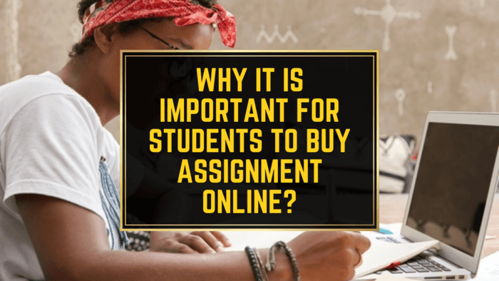 buy an assignment