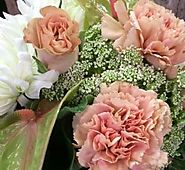 Love & Anniversary - Special Occasions - - Funky Bunches