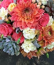 Best Wishes - Special Occasions - - Funky Bunches