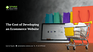 The Cost of Developing an Ecommerce Website