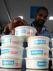 Curd, buttermilk and lassi get costlier, thanks to 5% GST | Infoshots