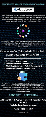 Centralized Wallet Development Company