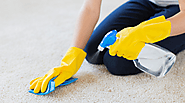 What Are The Steps To Be Immediately Taken To Remove Carpet Stains?