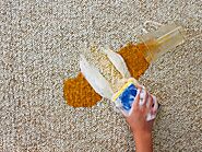 What to Look for While Getting a Carpet Stain Remover?
