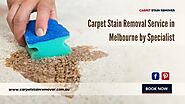 Carpet Stain Removal Service in Melbourne by Specialist