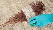 What Are the Tough Stains You Can Easily Remove from Your Carpets?