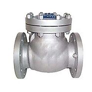 Superior Quality Check Valves Manufacturer, Supplier and Exporter in India - Dalmine Flanges