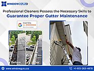 Professional Cleaners Possess the Necessary Skills to Guarantee Proper Gutter Maintenance