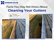 Facts You May Not Know About Gutter Cleaning | WindowGuru