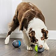 PetSafe Automatic Ball Launcher for Dogs