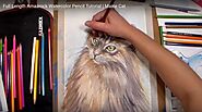 I Like This Blog-Video Tutorial - How to Easily Draw A Cat