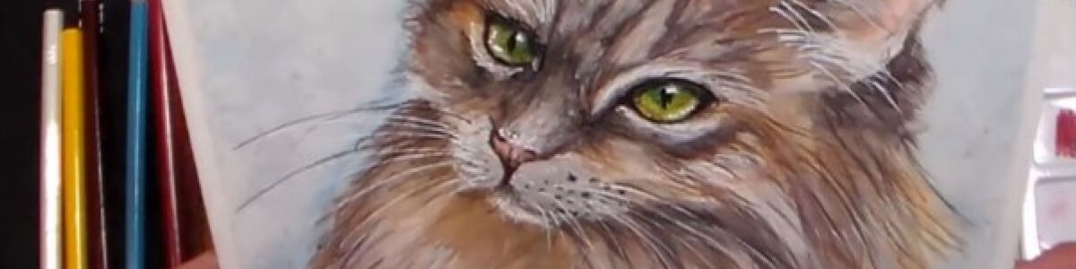 Headline for Who Loves Cute | Learn How to Draw A Cat Easily
