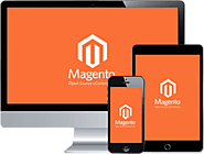 Unlock Advanced Functionality: Collaborate with a Magento Certified Professional Developer