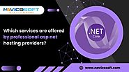 Which services are offered by professional asp net hosting providers? - Businessfig