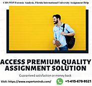 Avail most trusted History Assignment help service