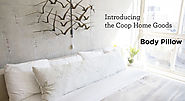 Coop Home Goods Shredded Memory Foam Pillow Review | Best Body Pillow Reviews