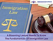 A Blooming Lawyer Needs To Know The Fundamentals Of Immigration Law