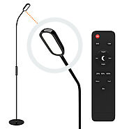 Gooseneck LED Floor Lamp With Remote Control for Bedrooms and Living rooms
