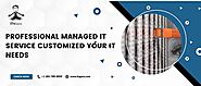 Professional Managed IT Service Customized your IT Needs