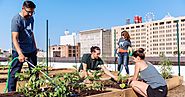 In St. Louis, an Urban Farmer Uses a Rooftop and Food to Spur Renewal