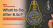 What to do After BSc? (Courses and Job Opportunities in 2023)