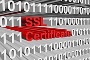 Why do I Need a Secure SSL Website?