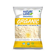 Organic Soybean Flour Online 500gm | Natureland Organics