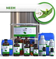 Neem Oil Virgin, Unrefined. Wholesale online store of natural essential oils