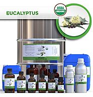 Eucalyptus Globulus Essential Oil, ORGANIC - Wholesale Online Store of Natural Essential Oils