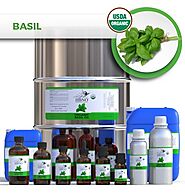 Shop Basil Sweet Essential Oil Wholesale in USA - Essential Natural Oils