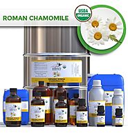 Shop Organic Chamomile (Roman) Essential Natural Oils