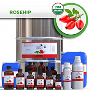 Shop Now! Organic Rosehip Seed Oil - HBNO- Wholesale Supplier and Manufacturer