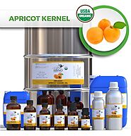 Shop Wholesale Refined Apricot Kernel Oil in USA - Essential Natural Oil