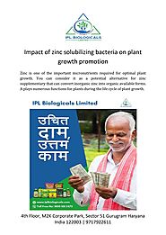 Impact of zinc solubilizing bacteria on plant growth promotion