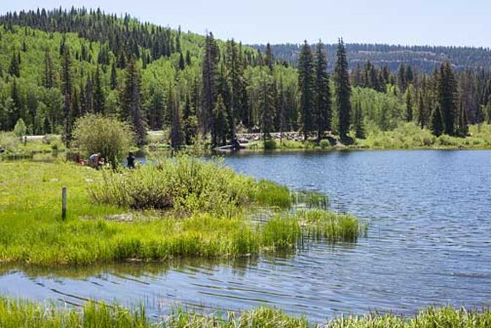 Lakes to Visit on Western Colorado's Grand Mesa | A Listly List