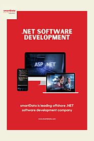 Your Website Experience Can be Improved by Using Microsoft .Net Developer.