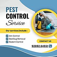 Stream Termite pest control Delhi 92892 84931 by Mohit | Listen online for free on SoundCloud