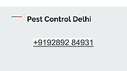 Pest Control Delhi NCR +9192892 84931 - Call us | PPT
