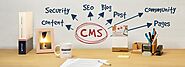 CMS Hosting Services, Free Domains For Life