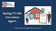 Spring TX life insurance agent