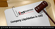 Company Liquidation & Services in Dubai, UAE