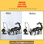 Image Cutout Service - Clipping Genius