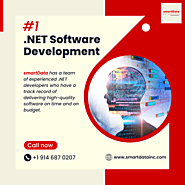 Why Choose smartData for .NET Software Development?