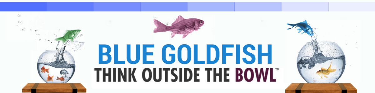 Headline for Blue Goldfish Project