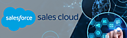 Salesforce Sales Cloud - Innovadel