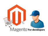 Why Should Hire Magento Developer?